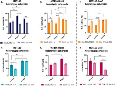 Doxorubicin-sensitive and -resistant colorectal cancer spheroid models: assessing tumor microenvironment features for therapeutic modulation